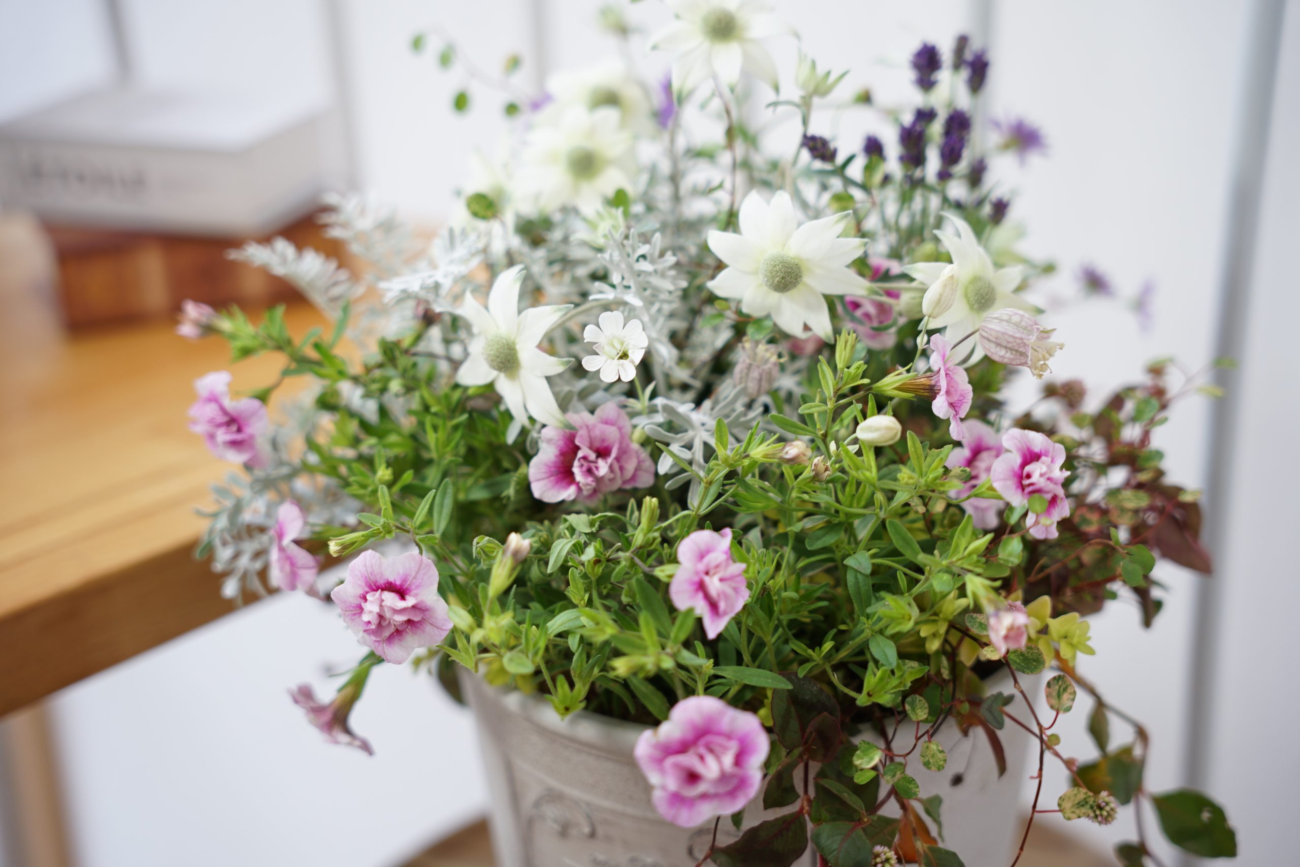Flower Studio Wreath.Kは、生産者さんが丹精を込めて育ててくれた質の良い苗だけを使った寄せ植えや苗・鉢を販売しております。